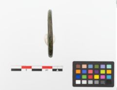 Foto von Bronzering (NHMW-PRAE-023672)